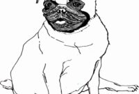 coloring pages pug coloring pages pug