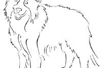 border collie coloring pages border collie coloring pages