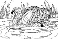 swan coloring page
