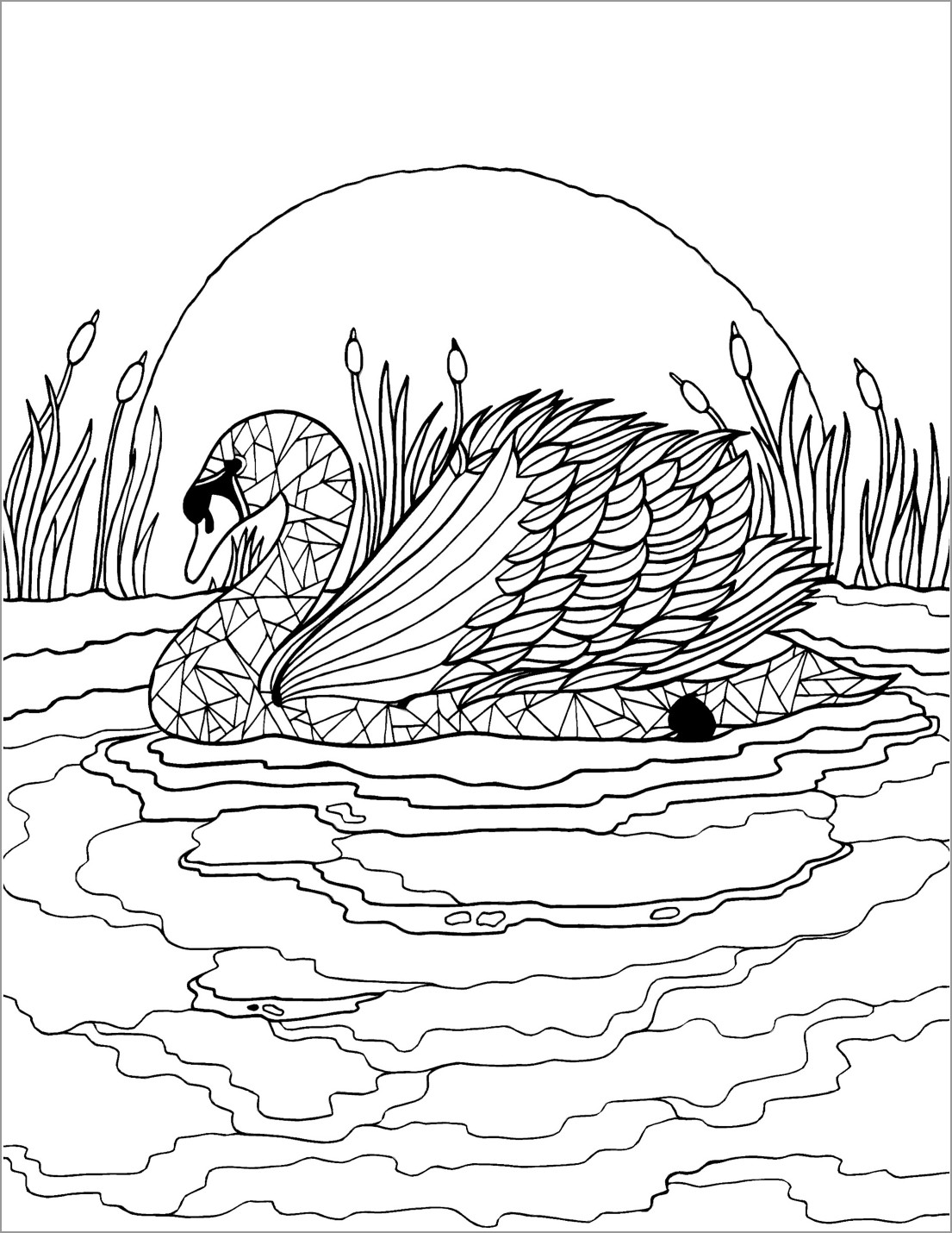 Swan Coloring Pages - ColoringBay