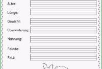 steckbrief tier vorlage