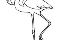 coloring pages flamingo coloring pages flamingo
