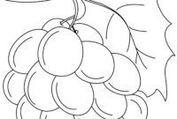 easy fruit coloring pages easy fruit coloring pages