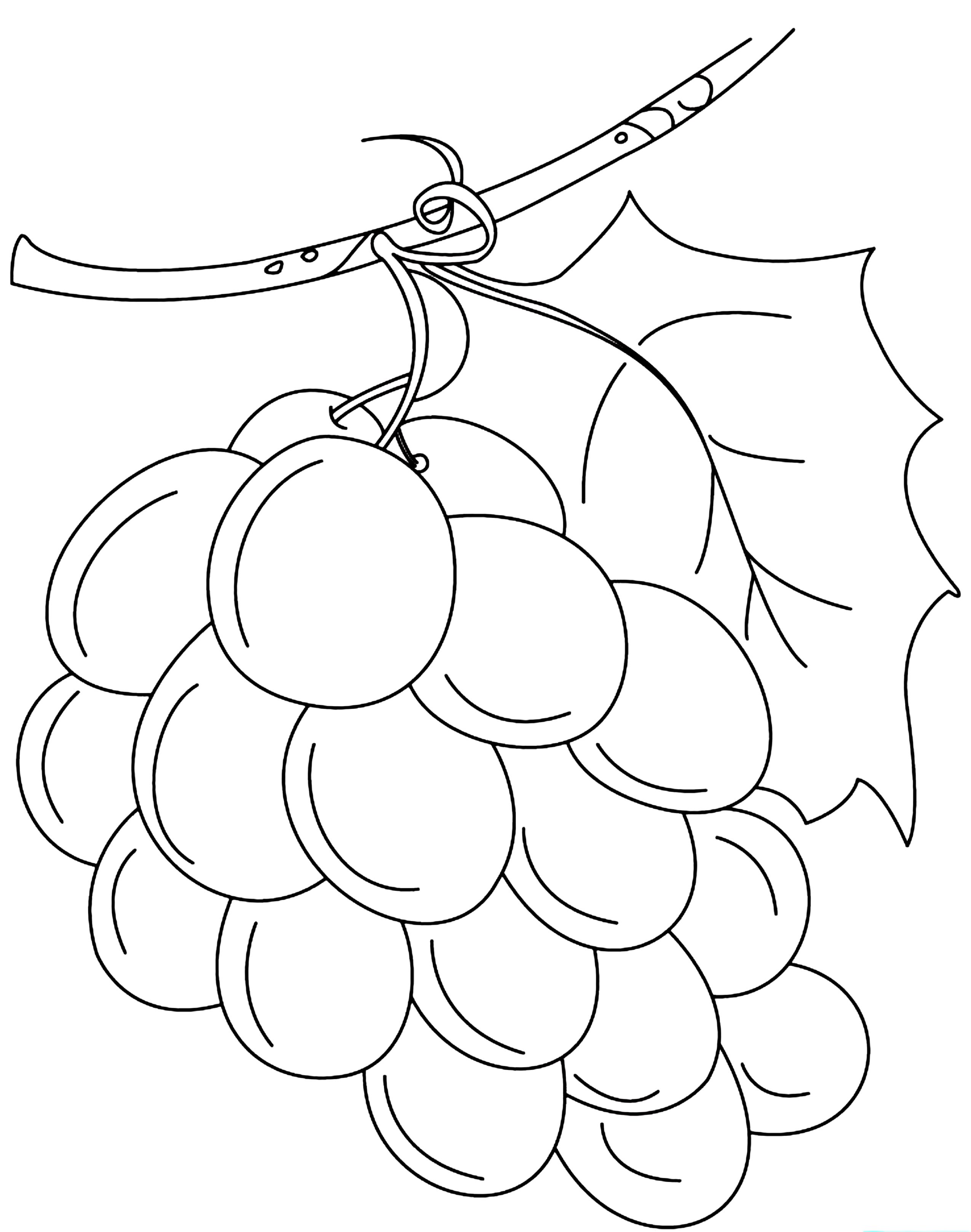 Visit our collection to download 50+ Fruit coloring pages -> Click on