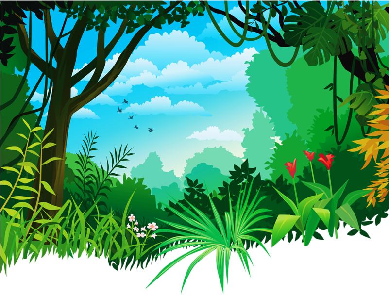 Download HD Download Jungle Background Png Clipart Tropical And