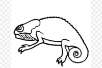 a color of his own coloring page a color of his own coloring page