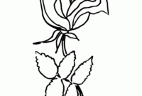 roses printable coloring pages roses printable coloring pages