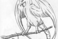 coloriage animaux imaginaire