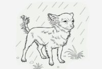 chihuahua coloring page