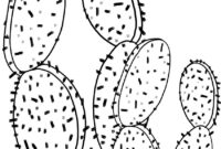 coloriage cactus a imprimer gratuit coloriage cactus a imprimer gratuit