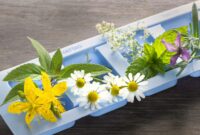 heilpadagogik ausbildung nrw