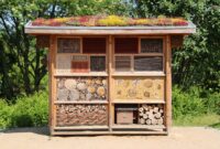 insektenhotel bauen mit kindern insektenhotel bauen mit kindern