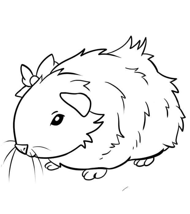 Loveable Guinea Pig Coloring Page - Free Printable Coloring Pages for Kids