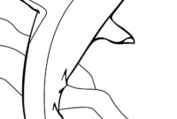 coloring pages of sharks coloring pages of sharks