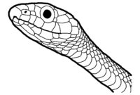 picture of a snake to color picture of a snake to color