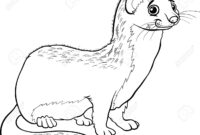 ferret coloring page