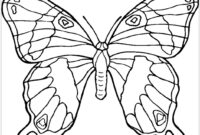butterfly mandala coloring page