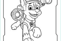 les dessins de papatrouille de chase la voiture