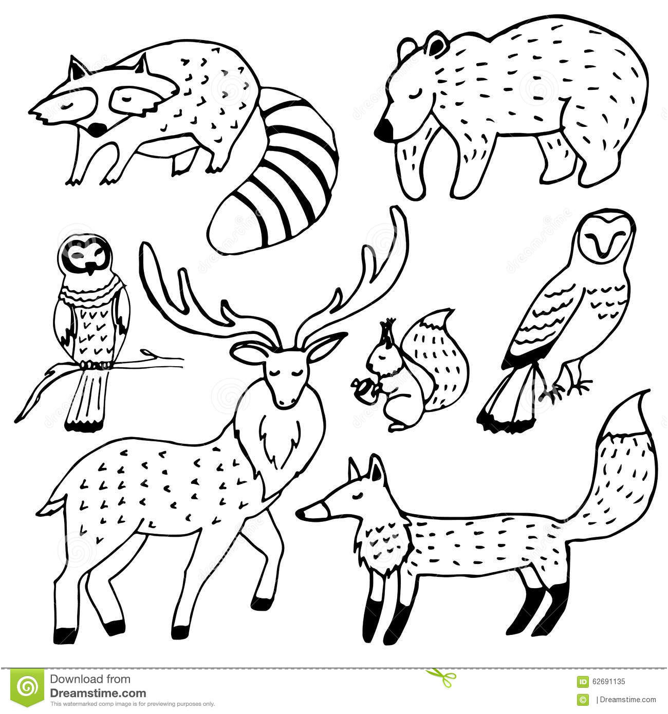 11 Moyen Coloriage Animaux De La foret Photos - COLORIAGE
