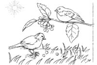 coloriage a imprimer paysage nature coloriage a imprimer paysage nature