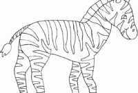 coloriage zebre a imprimer gratuit coloriage zebre a imprimer gratuit