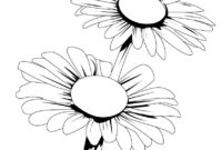 printable daisy coloring pages printable daisy coloring pages