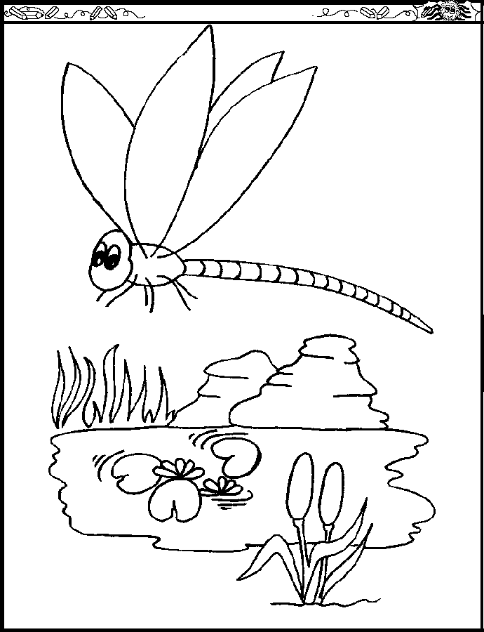 Dragonfly coloring page - Animals Town - Animal color sheets Dragonfly