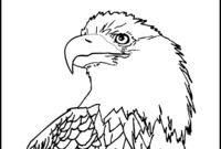 american eagle coloring pages american eagle coloring pages