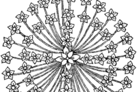 coloriage rosace adulte