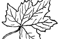 maple leaves coloring pages maple leaves coloring pages