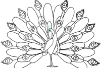 colored peacock coloring pages colored peacock coloring pages