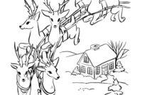 raindeer coloring pages raindeer coloring pages