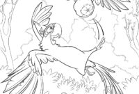 rio coloring pages rio coloring pages