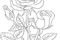 rose coloring pages rose coloring pages