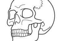 skull anatomy coloring pages