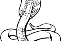 coloring a snake