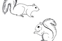 color page squirrel