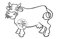 coloring page of a cow