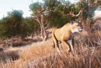 jeu de chasse interieur