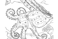 reef coloring pages reef coloring pages