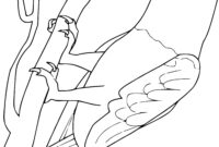 coloriage gratuit a imprimer de perroquet