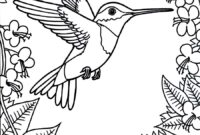 free printable hummingbird coloring pages