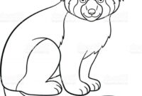 realistic red panda coloring pages