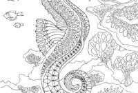 seahorse coloring page seahorse coloring page