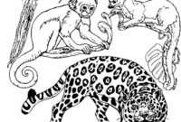 coloriage mandala jungle a imprimer coloriage mandala jungle a imprimer