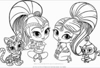 shimmer and shine colouring book