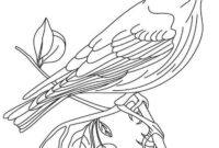 bluebird coloring page