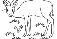 grassland coloring page grassland coloring page