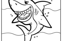 coloring sheets sharks coloring sheets sharks