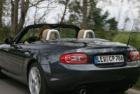 unterhaltskosten pferd unterhaltskosten pferd